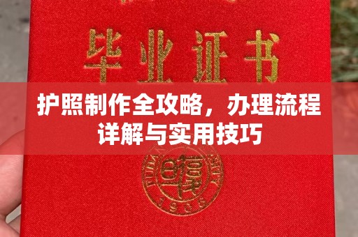 新泰护照制作全攻略，办理流程详解与实用技巧
