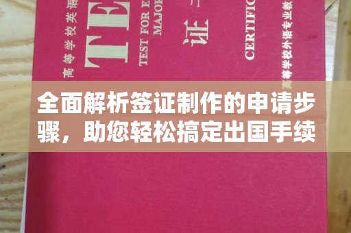新泰全面解析签证制作的申请步骤，助您轻松搞定出国手续