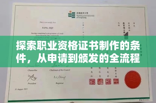 新泰探索职业资格证书制作的条件，从申请到颁发的全流程解析