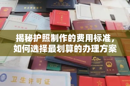 新泰揭秘护照制作的费用标准，如何选择最划算的办理方案？