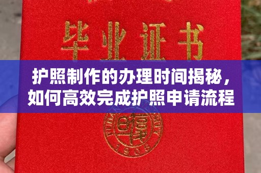 新泰护照制作的办理时间揭秘，如何高效完成护照申请流程