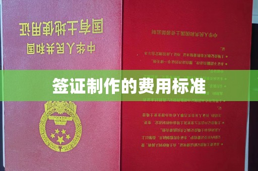新泰签证制作的费用标准