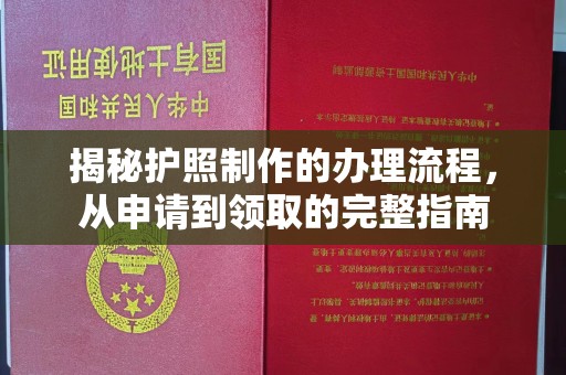 新泰揭秘护照制作的办理流程，从申请到领取的完整指南