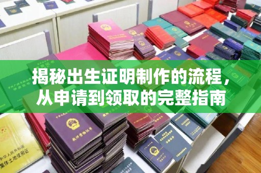 新泰揭秘出生证明制作的流程，从申请到领取的完整指南