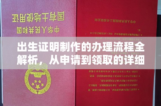 新泰出生证明制作的办理流程全解析，从申请到领取的详细指南