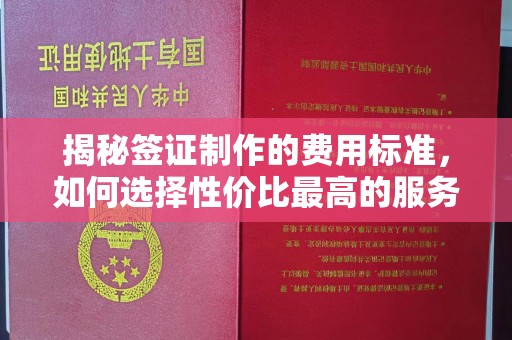 新泰揭秘签证制作的费用标准，如何选择性价比最高的服务？