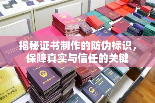 新泰揭秘证书制作的防伪标识，保障真实与信任的关键