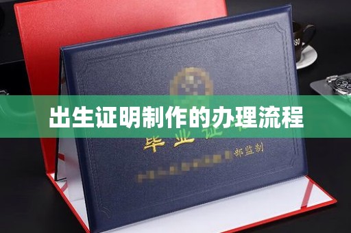 新泰出生证明制作的办理流程