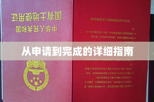 新泰从申请到完成的详细指南