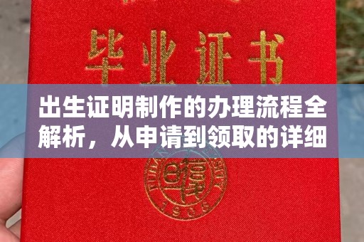 新泰出生证明制作的办理流程全解析，从申请到领取的详细指南