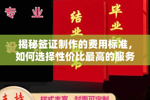 新泰揭秘签证制作的费用标准，如何选择性价比最高的服务？