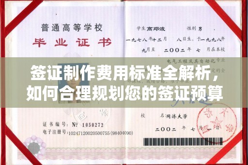 新泰签证制作费用标准全解析，如何合理规划您的签证预算？
