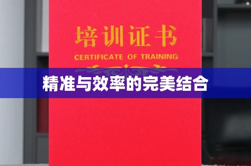 新泰精准与效率的完美结合
